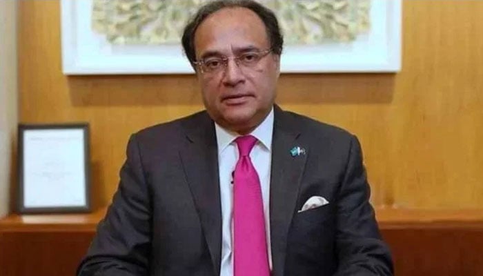 وفاقی وزیر خزانہ محمد اورنگزیب(فائل فوٹو)۔