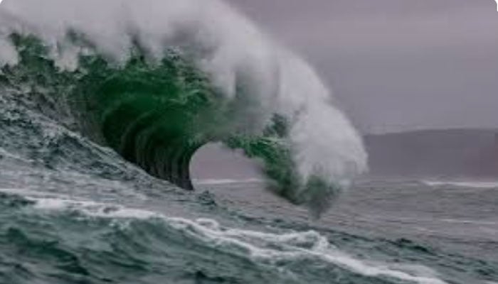 تصویر سوشل میڈیا۔