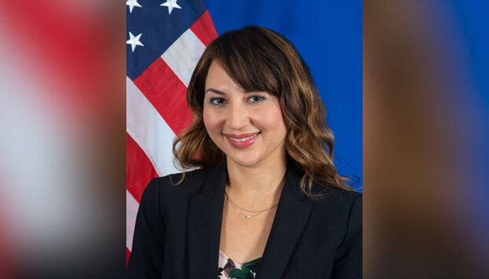 امریکی ناظم الامور نیٹلی بیکر(فائل فوٹو)۔