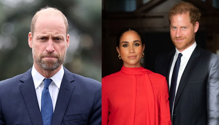 Prince William convinced ‘Sussex brand’ will diminish before his reign