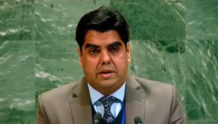 -- فوٹو: اسکرین گریب/جیو