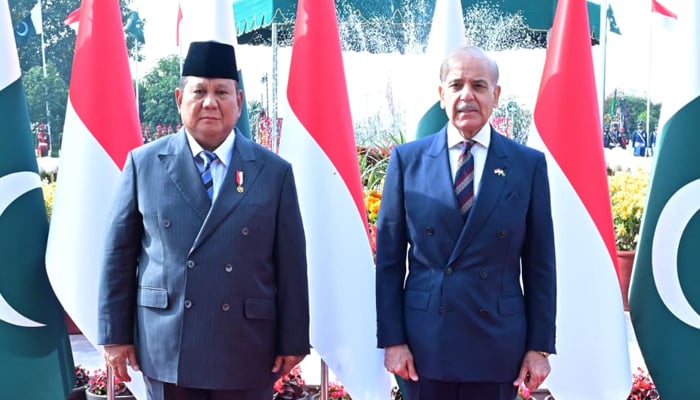 انڈونیشیا اور پاکستان کے تعلقات مزید بلندیوں کو چھوئیں گے: وزیراعظم