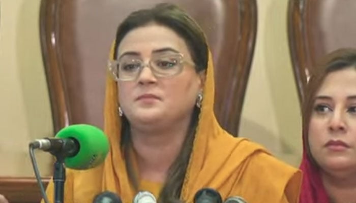 عظمیٰ بخاری - فوٹو: اسکرین گریب