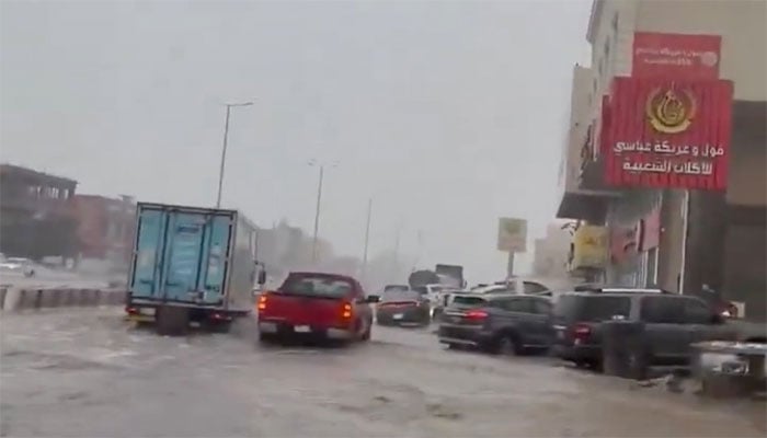 تصویر سوشل میڈیا۔