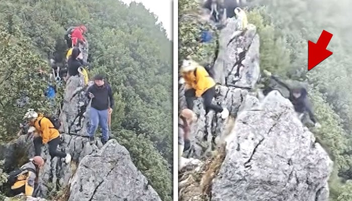 تصاویر:بین الاقوامی میڈیا