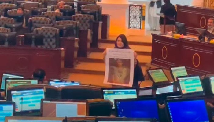 —اسکرین گریپ