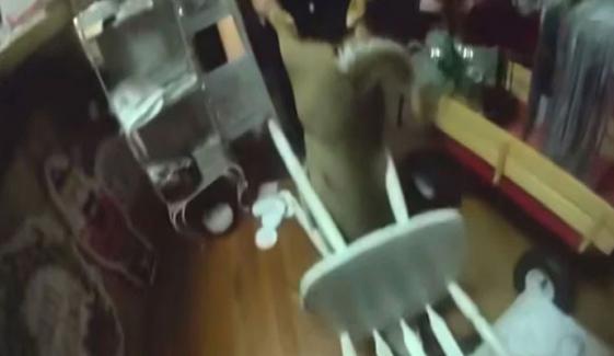 ٹینیسی: ہرن کرسمس اسٹور میں گھس آیا، دوڑتے ہوئے کرسی میں جا پھنسا