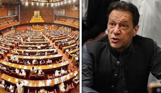 قومی اسمبلی میں اپوزیشن اراکین بانی پی ٹی آئی کے پوسٹرز لے آئے