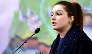 کشمیر میں کیمیکل ہتھیاروں سے لوگوں کو شہید کیا جا رہا ہے: مشعال ملک