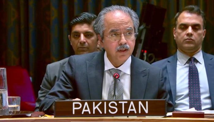 افغان سرزمین سے دہشت گردی سنگین خطرہ ہے، پاکستان