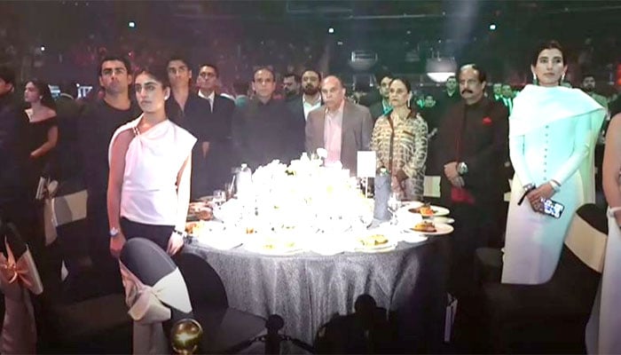 —ویڈیو گریب