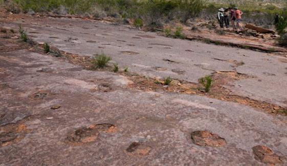  بولیویا میں دنیا کا سب سے بڑا ڈائنوسار ٹریک سائٹ دریافت