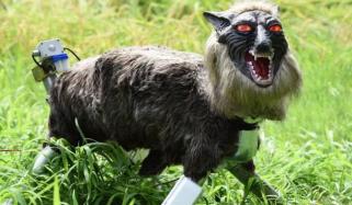 جاپان میں ریچھوں کو آبادی سے دور رکھنے کیلئے سرخ آنکھوں والے روبوٹ بھیڑیے تعینات