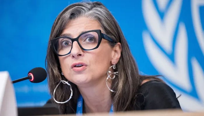 اقوام متحدہ کی انسانی حقوق کونسل کی رابطہ کار فرانسسکا البانیز—تصویر بشکریہ غیر ملکی میڈیا