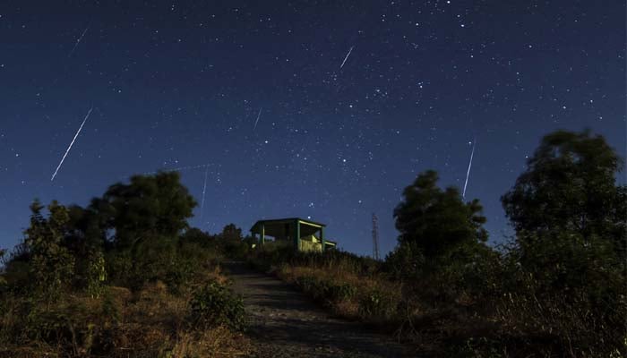 Geminid meteor shower to illuminate skies during early hours of December 14