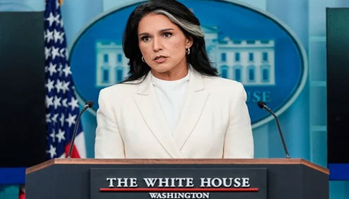 افغان شہریوں کا امریکا میں دہشت گرد تنظیموں سے تعلق کا انکشاف