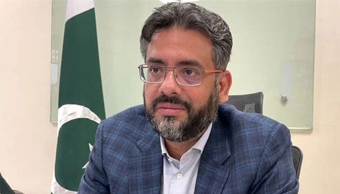 شہباز شریف نے 100 ارب ڈالر کی سرمایہ کاری لانے کا وعدہ کیا تھا، مزمل اسلم