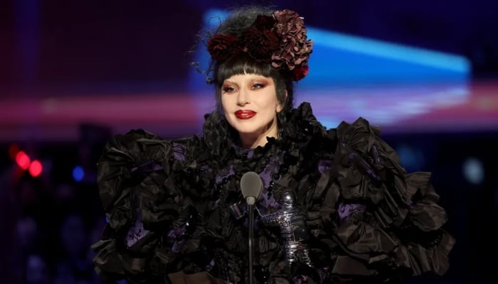 Lady Gaga halts concert mid-song after scary incident