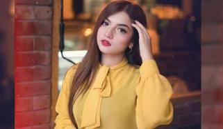 دانانیر مبین کا ہونے والا منگیتر کون ہے؟