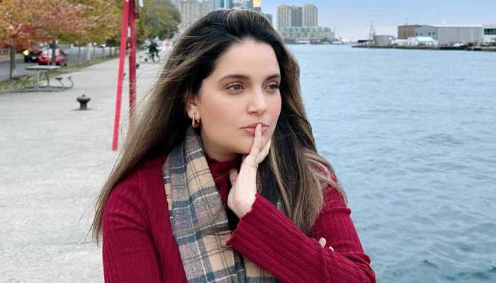 Armeena Khan shares painful health update from wheelchair: ‘Fighting battles’