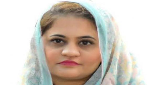 مصطفیٰ کمال نے چیمبر سے خطاب کو خود کو فرشتہ سمجھنے کی تقریب بنالیا، سعدیہ جاوید