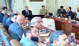 بجلی کی ترسیل کار اور پیداواری کمپنیوں کی نجکاری تیز کرنے کی ہدایت