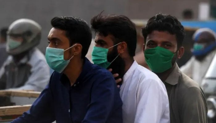 ---فائل فوٹوز