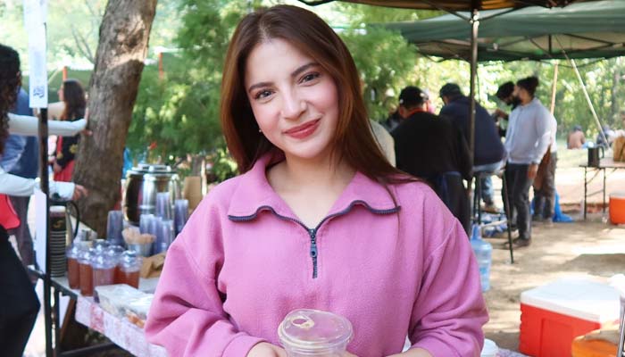 Dananeer offers glimpse into her debut film Mera Layari character