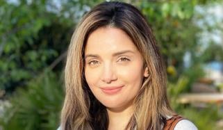 ارمینا خان کا صحت کے پیچیدہ مسائل میں مبتلا ہونے کا انکشاف، وہیل چیئر پر ویڈیو بھی شیئر کر دی