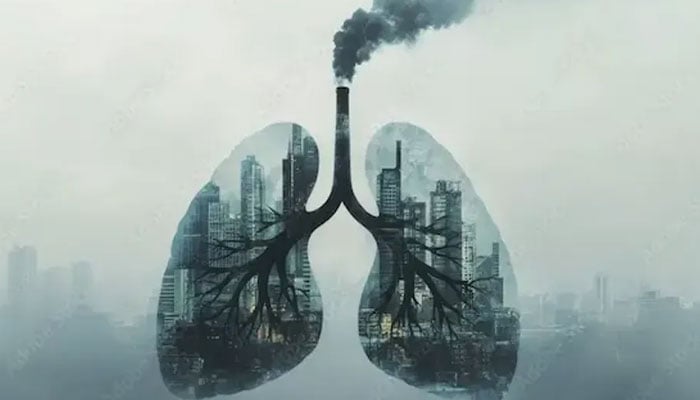 — فائل فوٹو