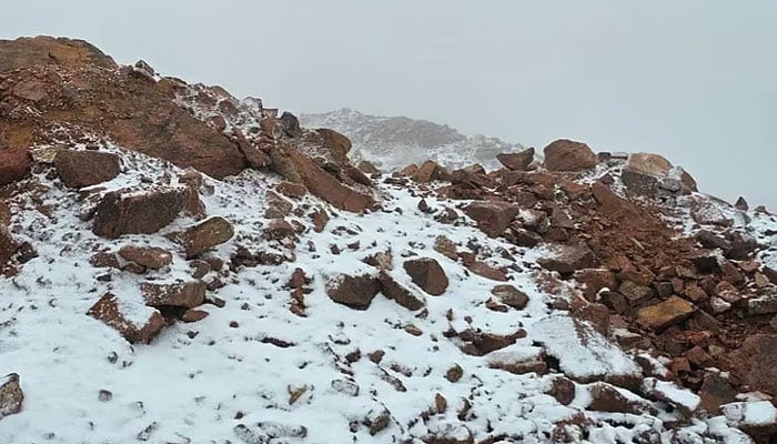 —تصویر بشکریہ سوشل میڈیا