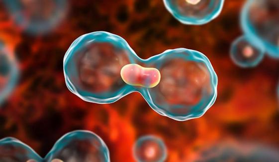 شراب نوشی سے کینسر کا خطرہ بڑھ جاتا ہے: تحقیق