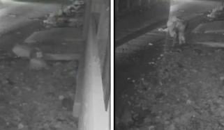 کراچی: کورنگی میں نالے میں گر کر بزرگ شہری جاں بحق