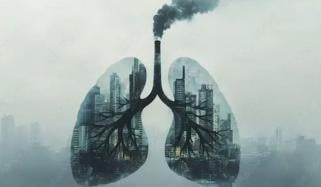 اسموگ سے محفوظ رہنے کے آسان طریقے