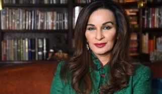 شیری رحمٰن کا فٹیف سے بھارت کی عالمی سطح پر دہشتگرد گروہوں کی حمایت کا جائرہ لینے کا مطالبہ