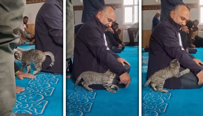 فوٹو — انسٹاگرام