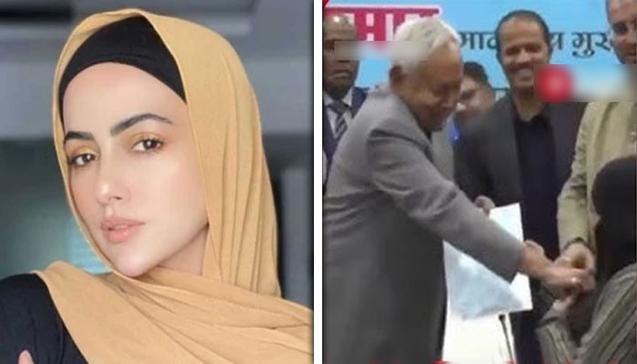 دل کر رہا ہے کہ وزیراعلیٰ بہار کے کان کے نیچے 2 لگاؤں: ثناء خان کا حجاب تنازع پر ردعمل