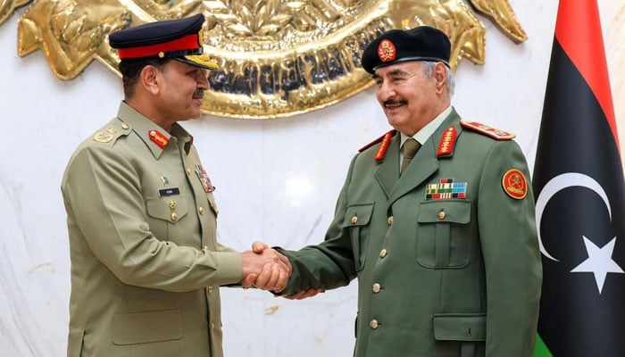 فیلڈ مارشل کا لیبیا کا سرکاری دورہ، گارڈ آف آنر پیش