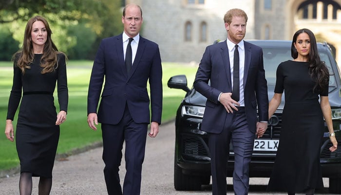 Kensington Palace breaks silence after Harry, Meghans new film announcement