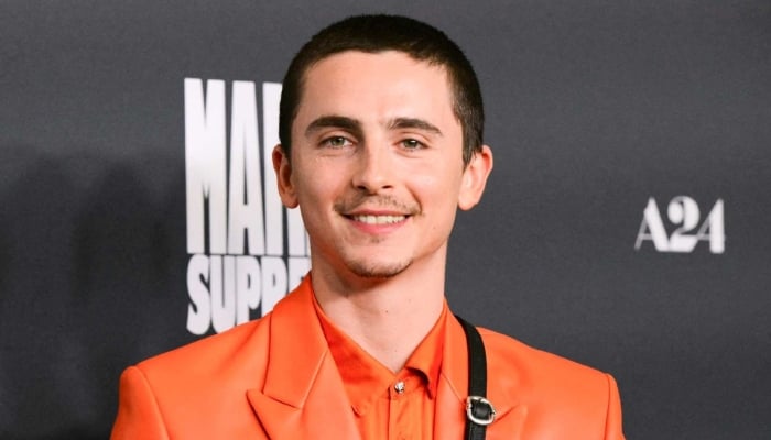 Timothée Chalamet reflects on his long-term effort for Marty Supreme
