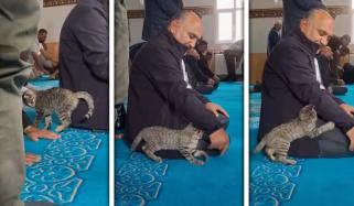 بلی کی مسجد میں نمازیوں کیساتھ اٹکھیلیاں