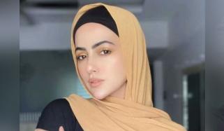 دل کر رہا ہے کہ وزیراعلیٰ بہار کے کان کے نیچے 2 لگاؤں: ثناء خان کا حجاب تنازع پر ردعمل