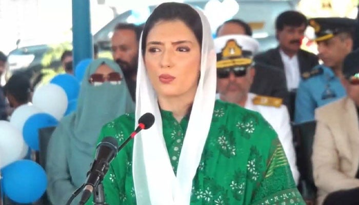 — اسکرین گریب