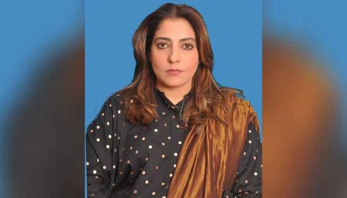 سینیٹر پلوشہ خان—فائل فوٹو