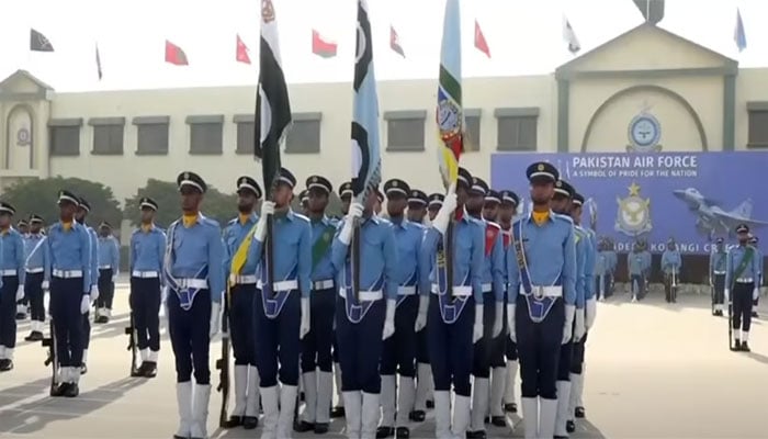 —ویڈیو گریپ