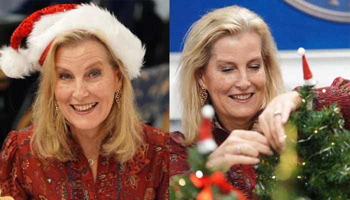 Royal Family shares Duchess Sophie’s new photos from spectacular celebration