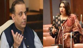 سینیٹ قائمہ کمیٹی اجلاس: علیم خان اور پلوشہ خان میں تلخ کلامی 