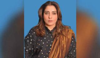 میرے سوال پر علیم خان بھڑک اٹھے اور جواب نہیں دیا:پلوشہ خان