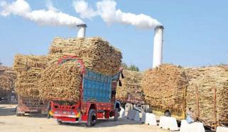 پنجاب کے مختلف ڈویژن کی مختلف چینی ملز کی قیمتوں کا جائزہ