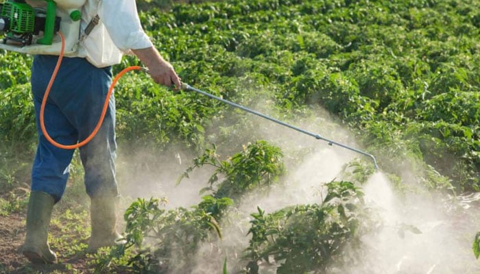 ---فائل فوٹو